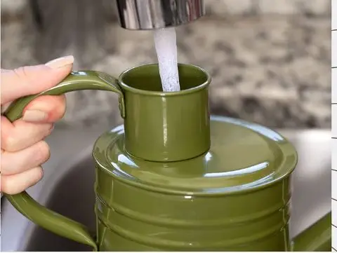 Green Watering Can - Metal Watering Can with Long Spout for Decoration  Perfect Plant Watering Can for Outdoor Plants