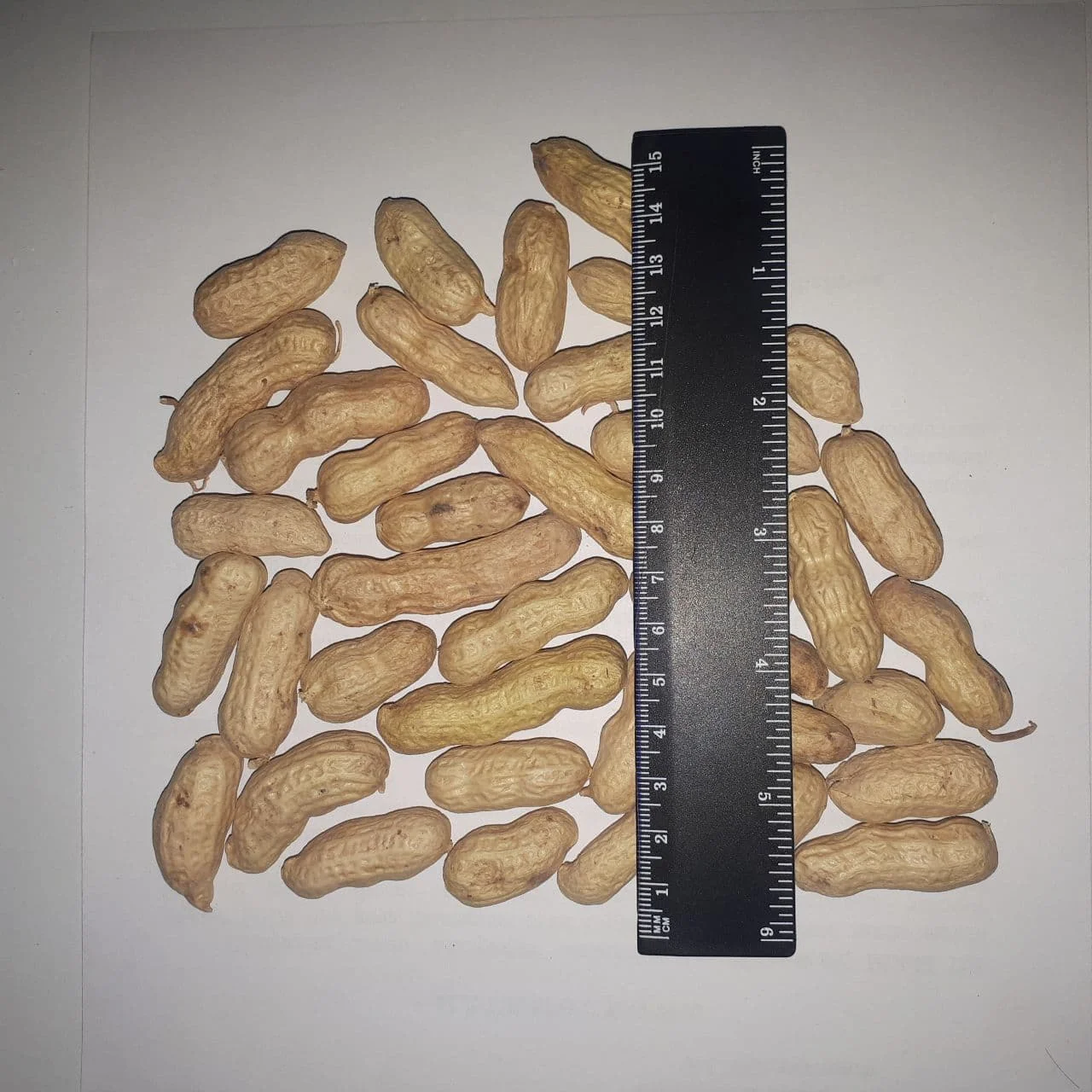 Wholesale Natural Organic First Grade Shelled Peanut Bulk Raw Peanut In Shell Laser Sorting Peanuts Nuts & Kernels
