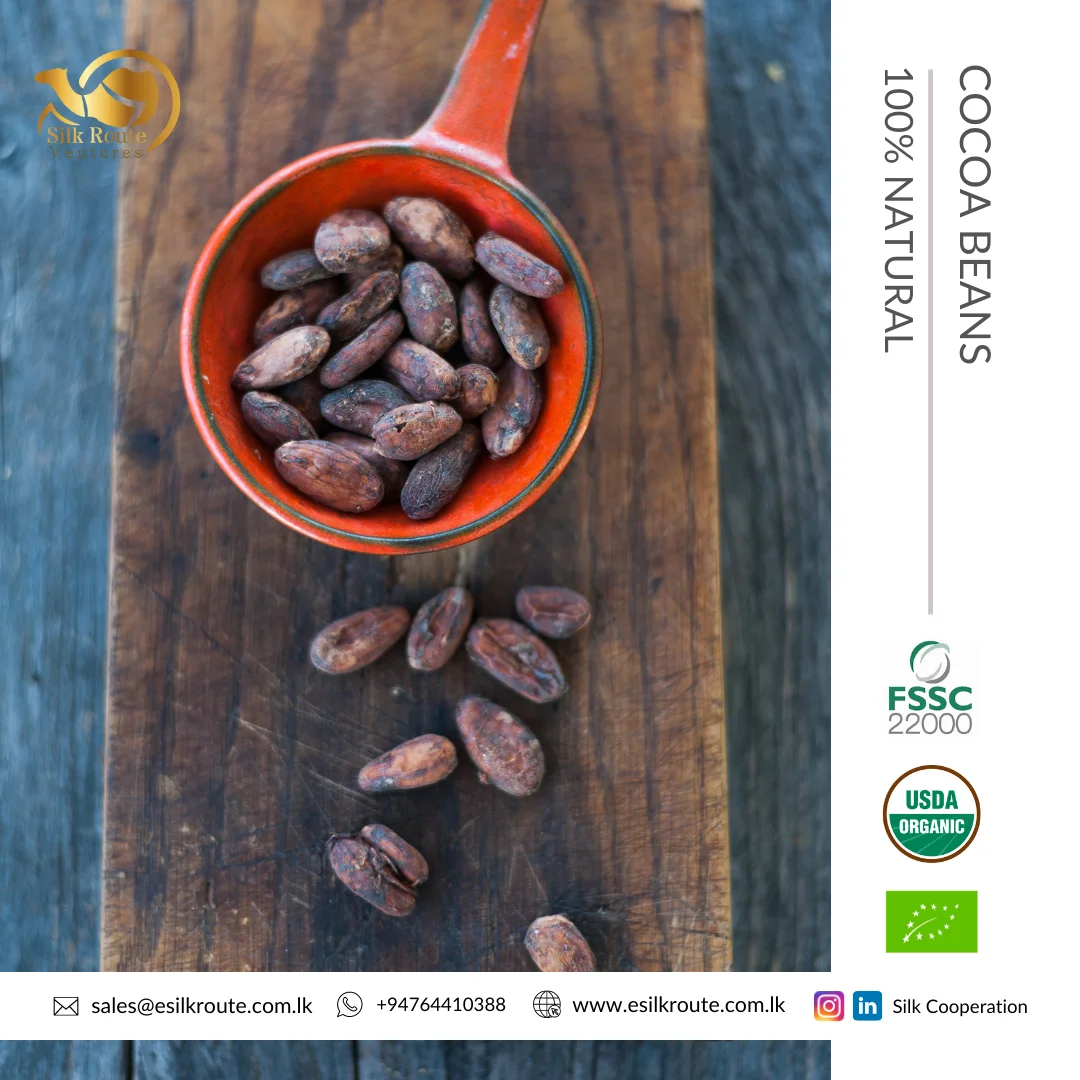 Superb Grade Food Quality Pure Organic Natural Brown Color Cocoa Bean for Australian Buyers