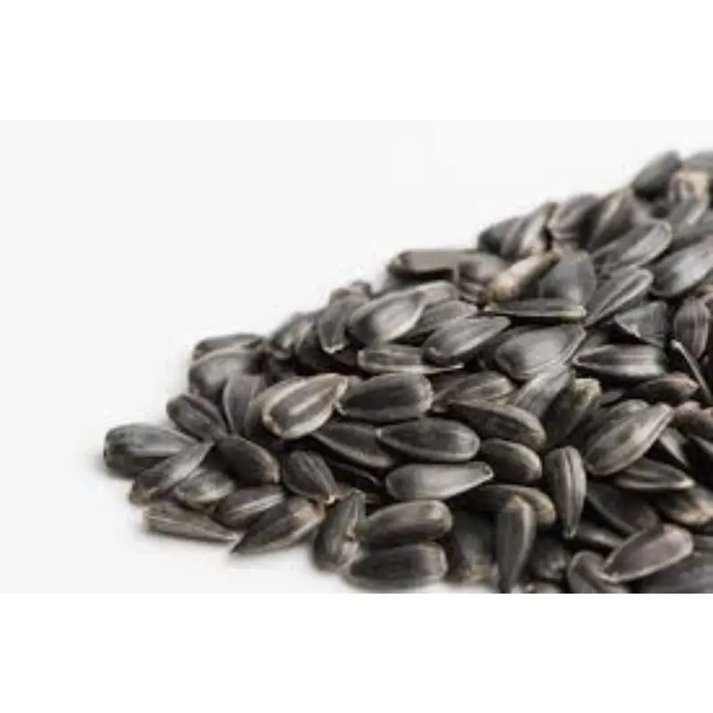 Sunflower Seeds Available For Sale