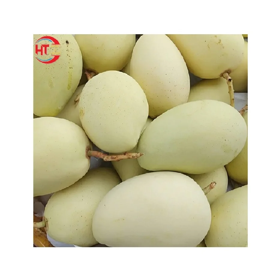 Свежие фрукты, Натуральный Сладкий органический зрелый желтый цвет, размер 8 - 10 см, Cat Chu манго, экспорт из Вьетнама