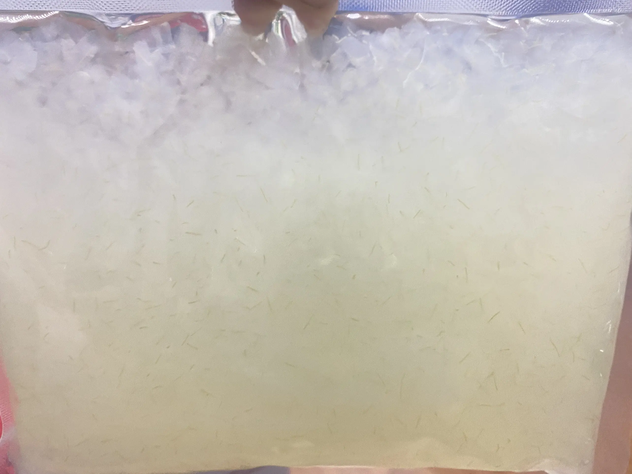 PREMIUM ALOE VERA JELLY / THE MOISTURIZING TOUCH OF NATURE / MADE IN VIETNAM