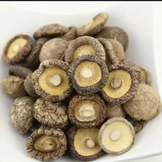 VietNamese  High Quality Dried Shiitake Mushrooms, Juicy and Cool  Mary