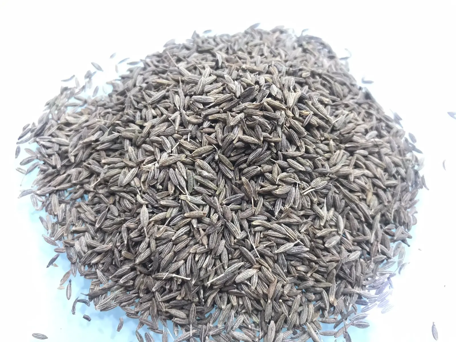 Cumin Seed Cumin Seeds India origin