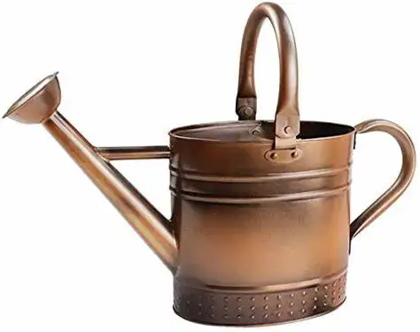 Powder Coated Custom Metal Water Can Tall Size Top Selling Handmade Watering Can Classic Stylish Wholesale Vintage Water Cane