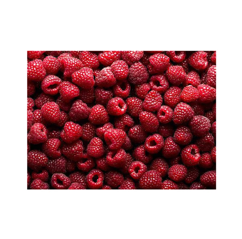 Сладкий и вкусный вкус премиум качества свежие фрукты 100% чистые Натуральные Свежие ягоды Малина по оптовой цене