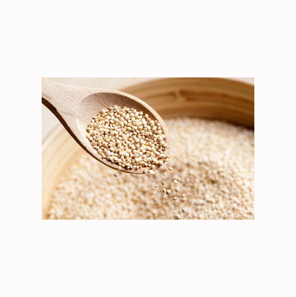 Organic Quinoa Grain Seeds QUINOA Seed For Sale from PERU BEST QUALITY ORGANIC WHITE