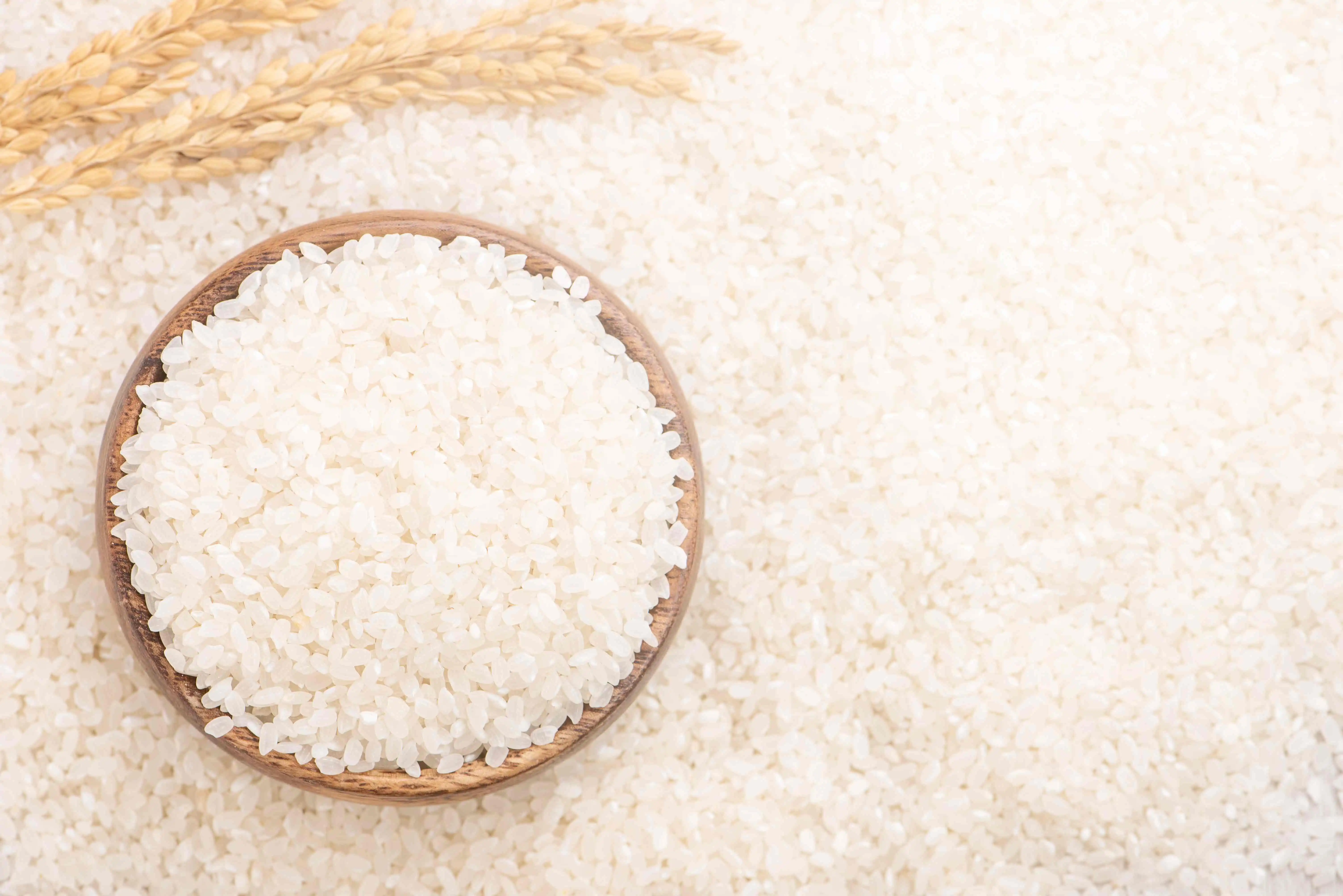 5% broken white rice (product for Thailand) (high and premium quality) (long grain) (new crop) (OEM)