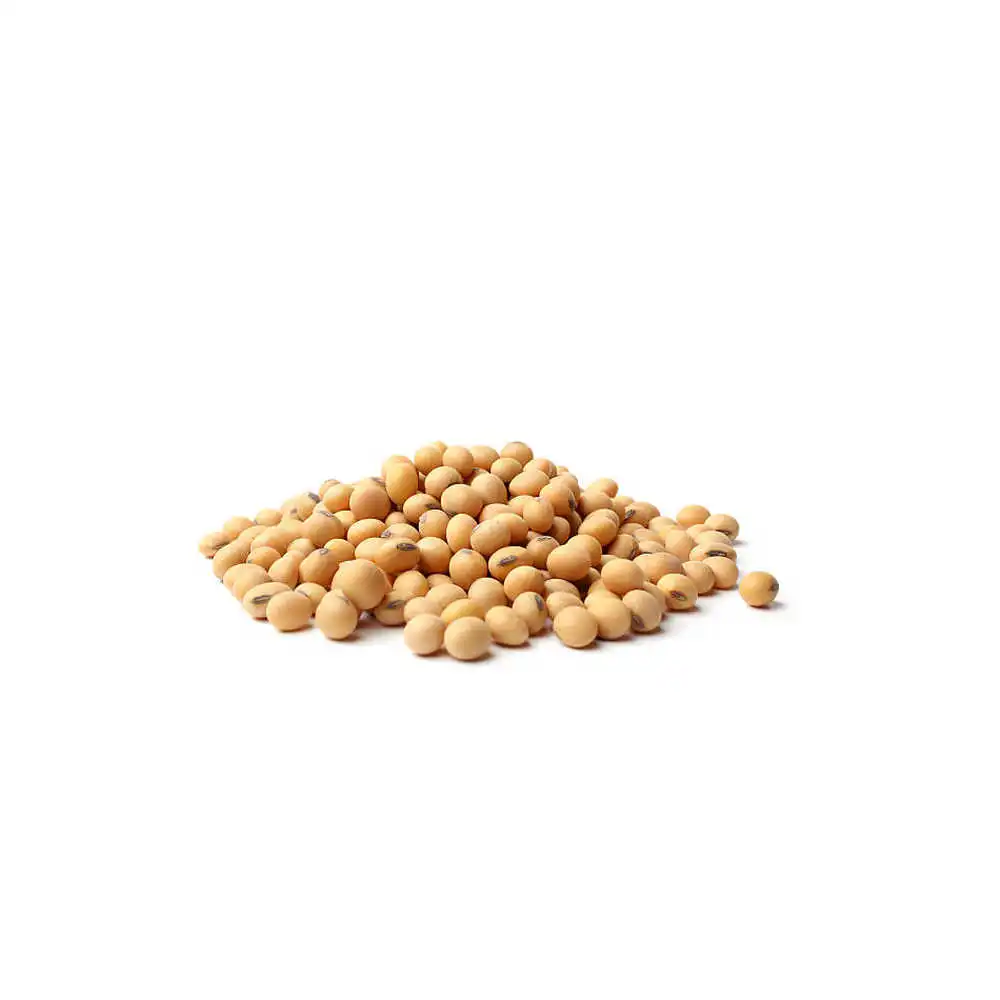 Soya-Bean-Seeds-1kg.jpg