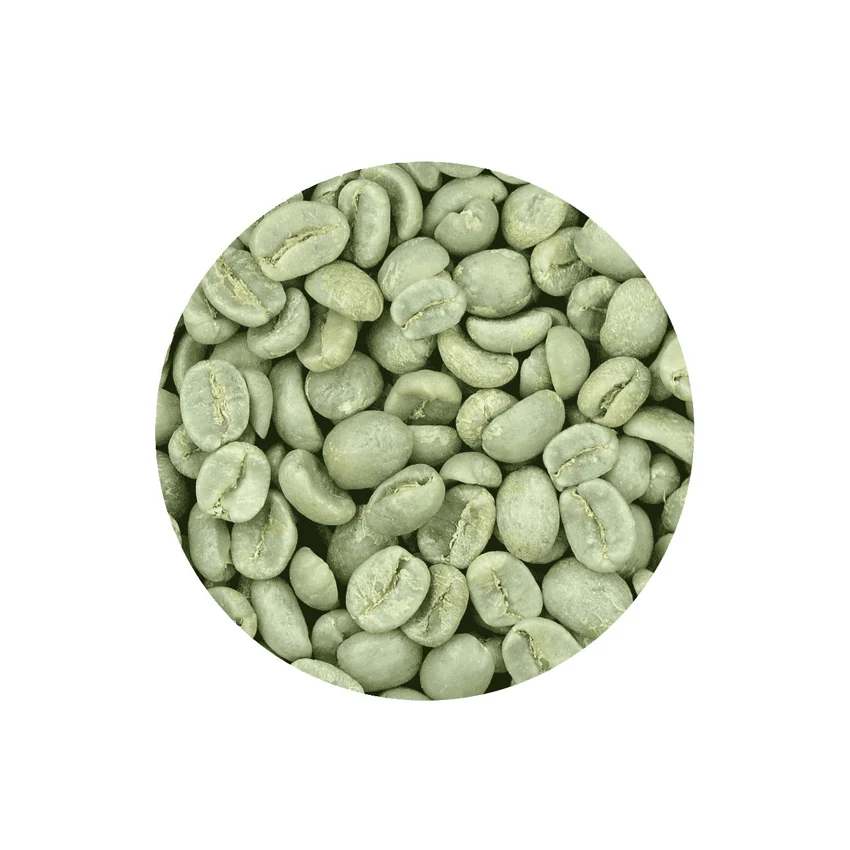 Wholesale Brazilian High Quality Green Beans Coffee With Best Price For Import Good Quality Raw Coffee Beans