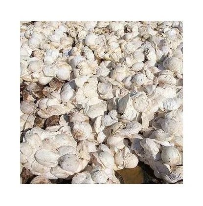 HIGH QUALITY NATURAL RUBBER CUP LUMPS WITH 62-72 % drc/Best Grade Rubber Cup Lump