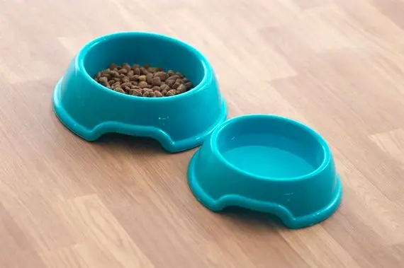 Hot Sale Durable Plastic Round Pet Bowl With Assorted Size and Colours Dishwasher Safe Dog & Cat Food Bowls