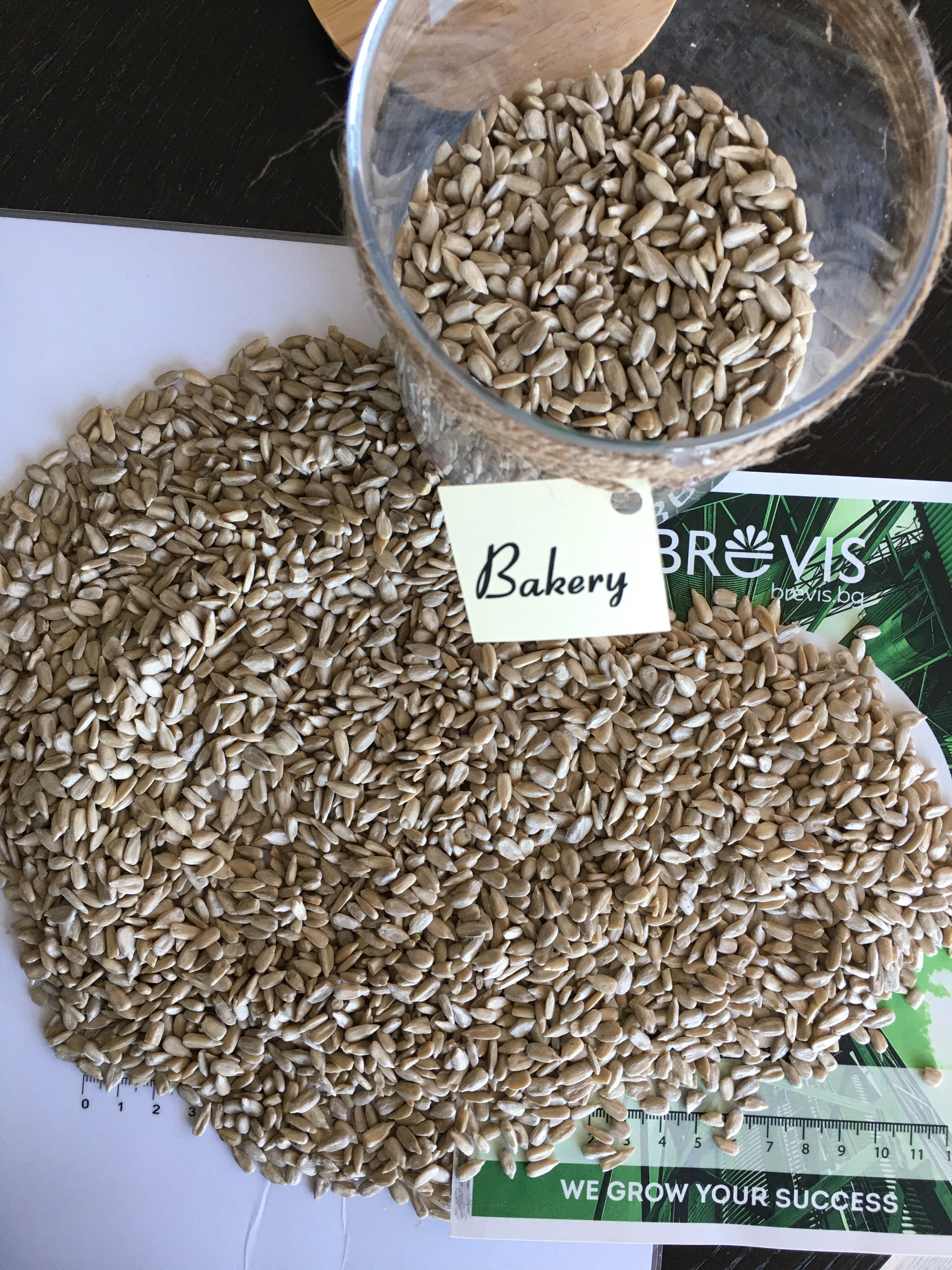High Quality Sunflower Seeds-White Sunflower Kernels 100% natural bulk sunflower seed kernels oil seeds
