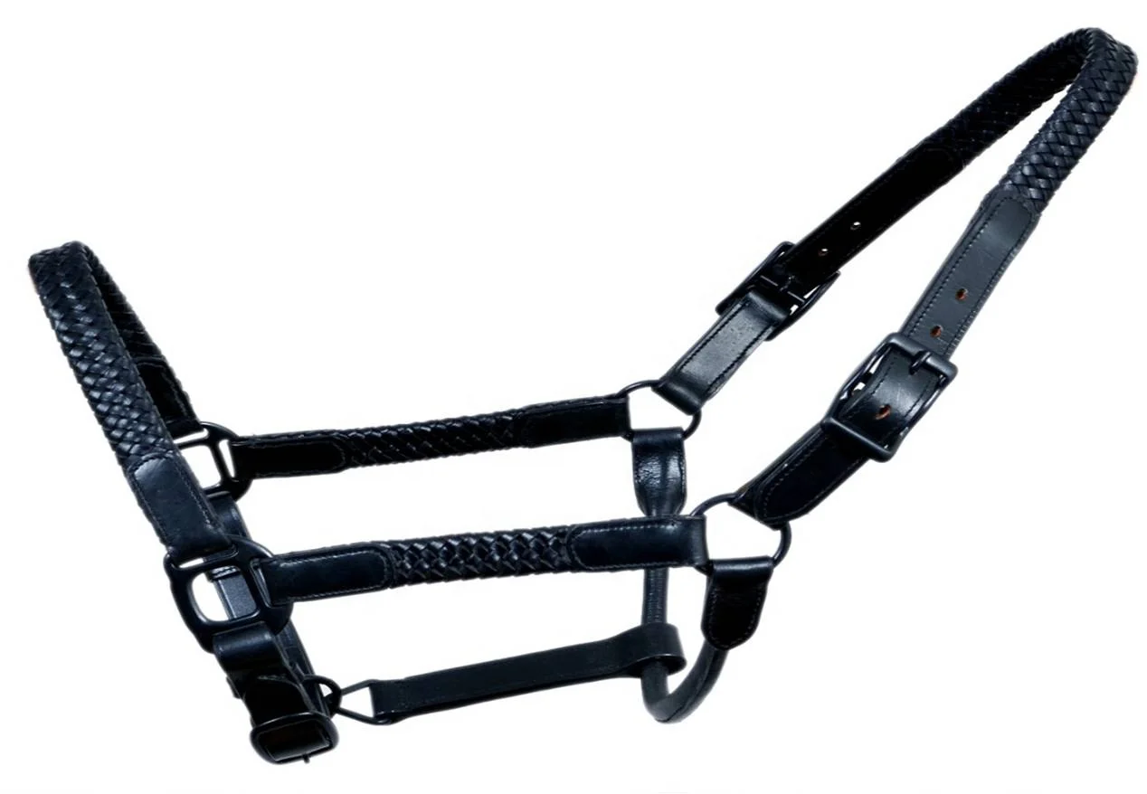 Horse Halters With Name Plate Comfortable & Adjustable Padded Leather Horse Halters With Name Plate