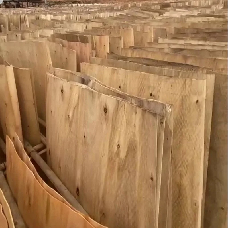 Good Price Eucalyptus Veneer for core plywood Natural Veneer Rotary cut origin Vietnam wood veneer