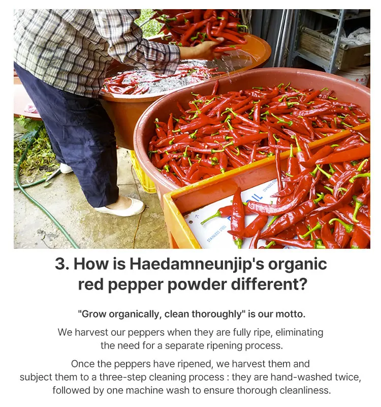 CYSO Korean Organic Red Pepper Flakes Chili Powder Flakes 200g Spicy Seasoning for Kimchi or Asian dishes K Food