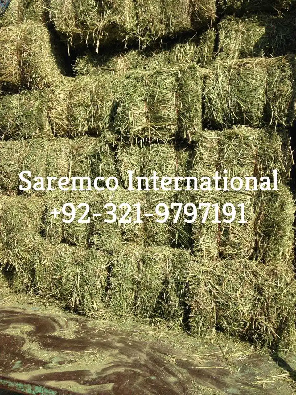 Rhodes grass pellet seed from Pakistan best dust free bales for Animal Feed Suppliers Import Export wholesale price