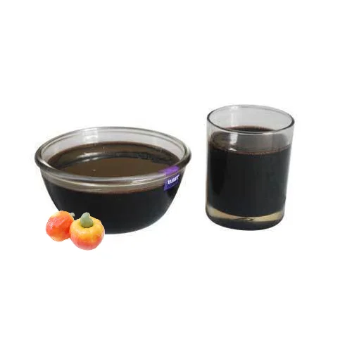 good price for export High Quality Viet Nam Cashew Nut Shell Liquid Oil The Best Choice Cashew Nut Shell Oil VIETNAM CASHEW NUT