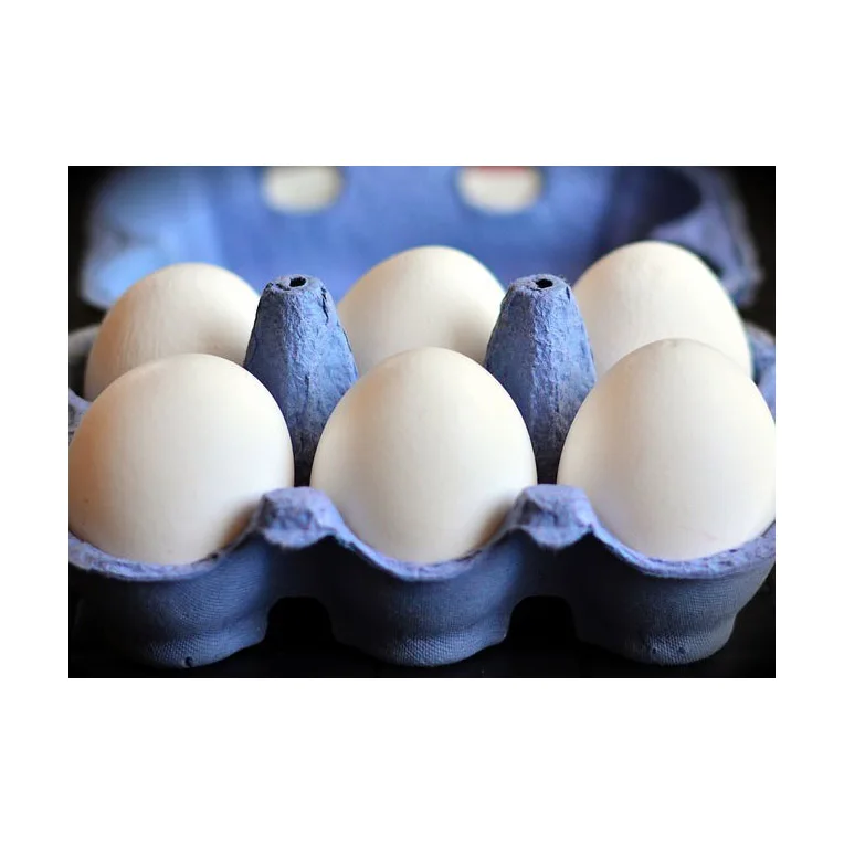 Свежие куриные яйца для фермы, коричневые и белые куриные яйца в бразильском стиле, цветная подставка