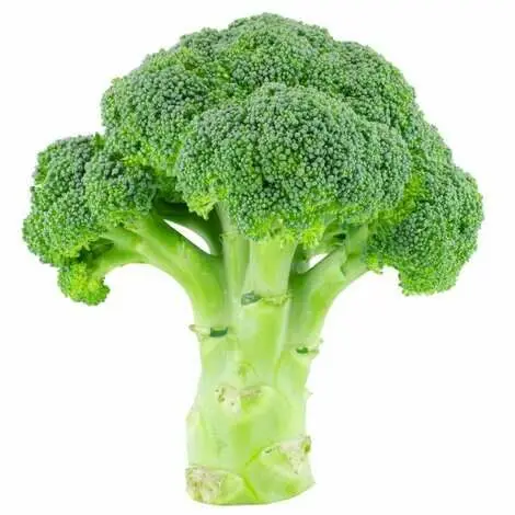 Wholesale Fresh Broccoli ,Fresh Green Broccoli, Frozen fresh broccoli for sale