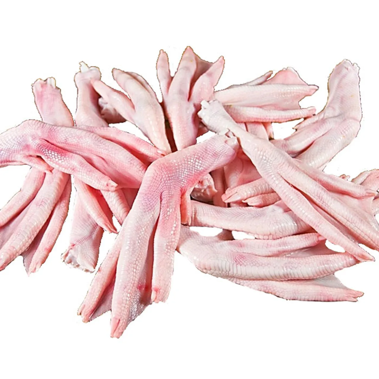 Свежие Замороженные утиные ноги оптом