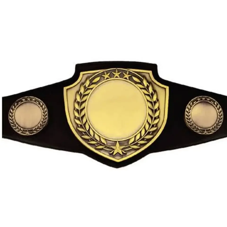 Boxing championship belts with custom logo Campionship belt Customizable Championship Belt WBC MMA Muay Thai Combat Taekwondod