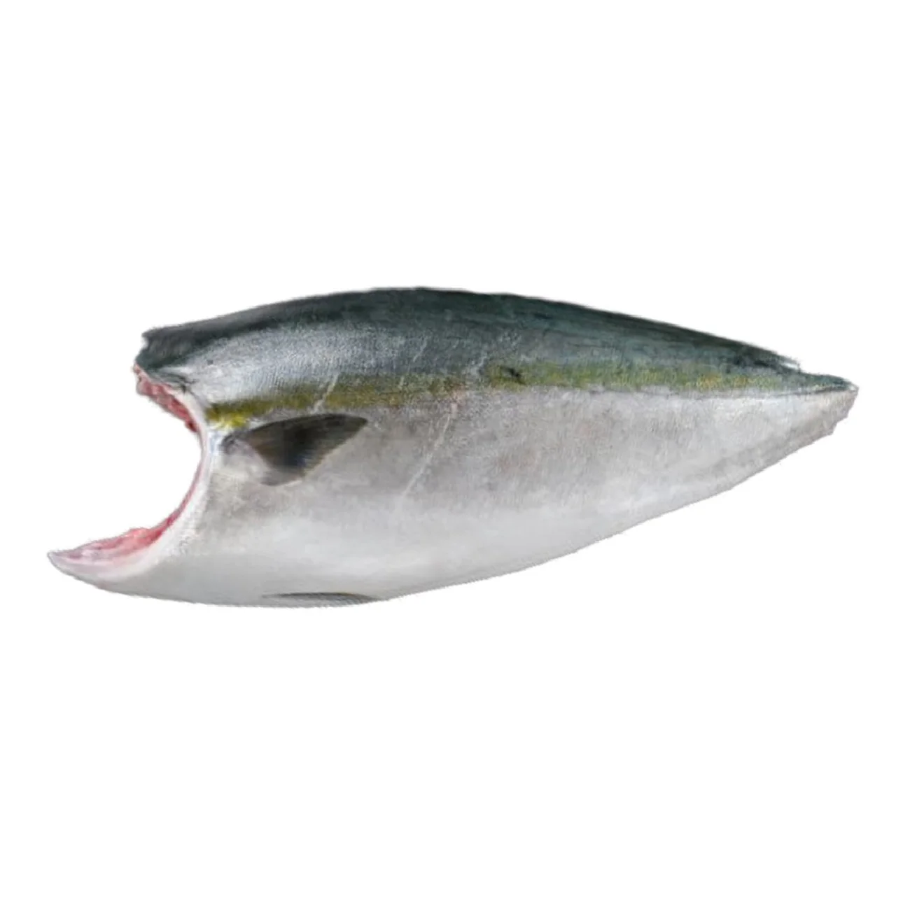 Japanese Dried Other Fish Supplier Importer Export Fresh Seafood