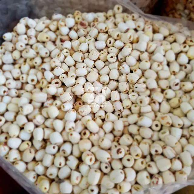 100% Natural Dried Lotus Oragnic With Premium Grade From Factory In Vietnam