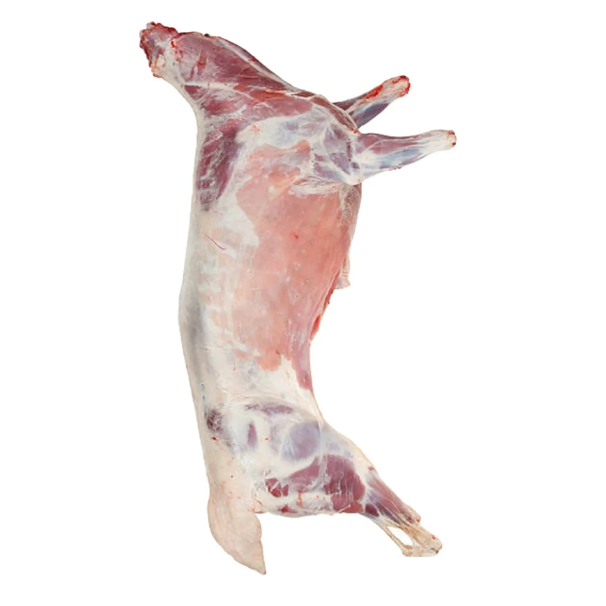 Высококачественный Стандартный Замороженный халяльный ягненок/овец по доступным ценам