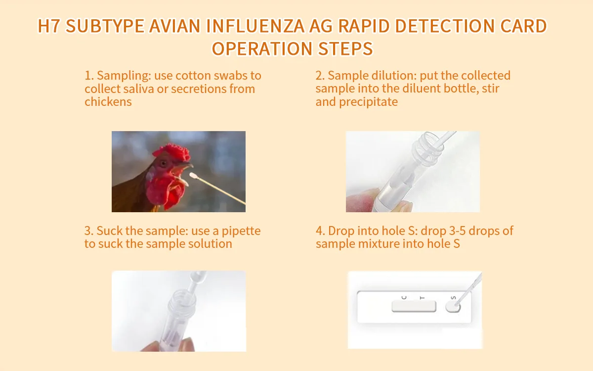 Набор для экспресс-тестирования животных птиц куриных болезней H5N8 подтип вирус птичьего гриппа H9 Rapid vet