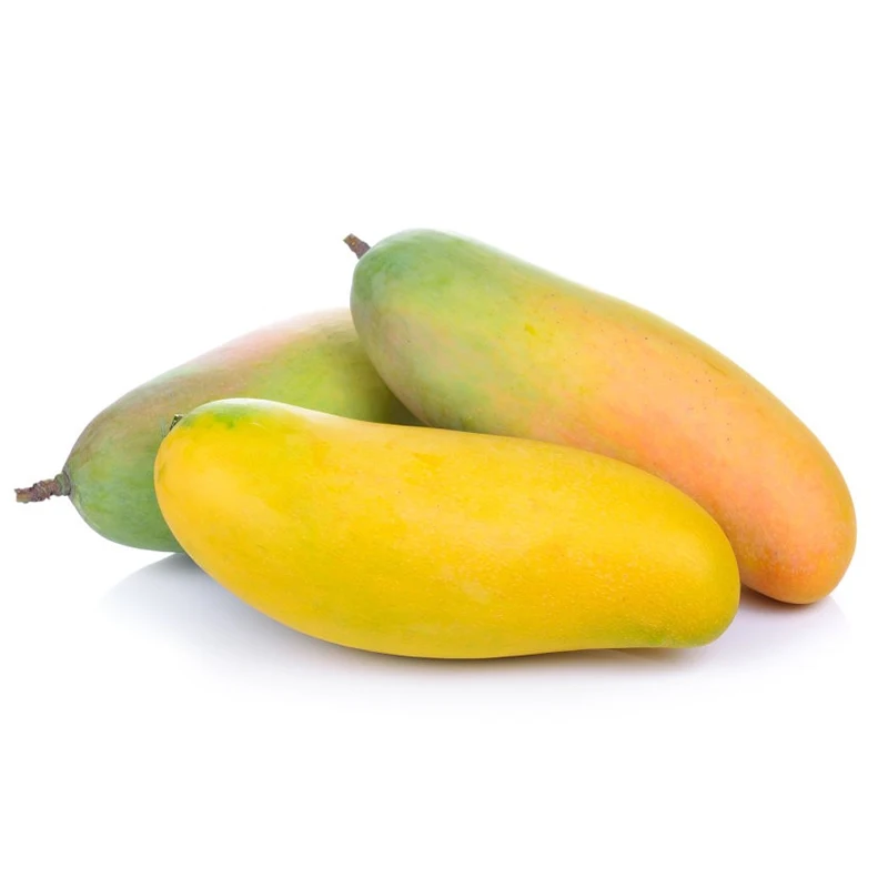 100% Organic Fresh Hot Selling Mangoes In Bulk
