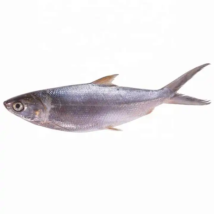 Качественная оптовая продажа 80-90 шт. замороженная рыба сардины морепродукты BQF свежая ЦЕЛАЯ РЫБА в продаже