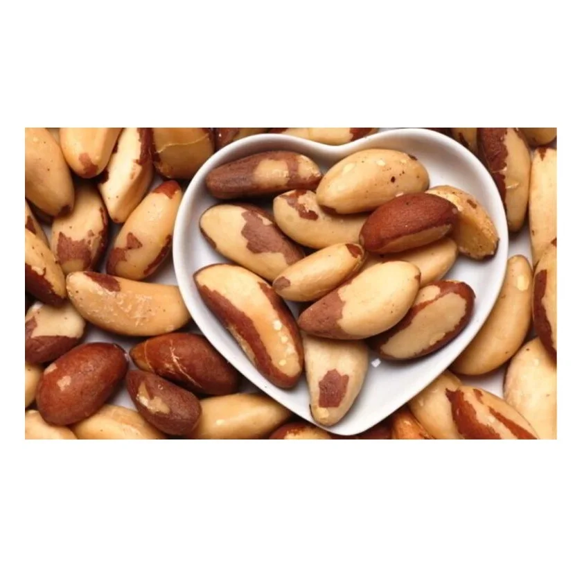 High-Quality Brazil Nuts - Fresh and Crunchy for Snacking and Baking