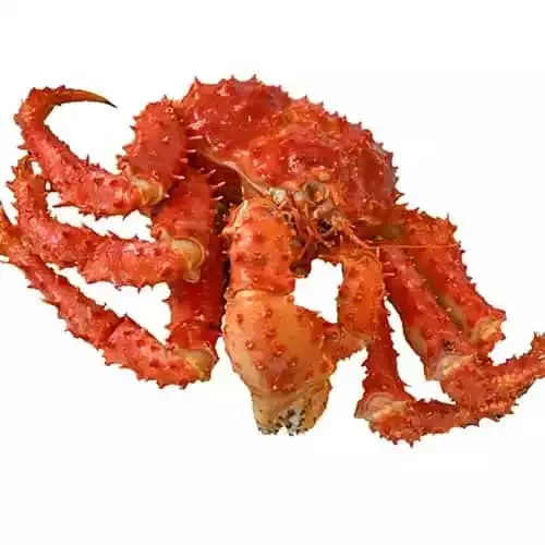 Оптовая продажа высококачественных морепродуктов Оптом Свежий замороженный красный краб свежий замороженный Королевский Краб замороженные морепродукты цельный краб