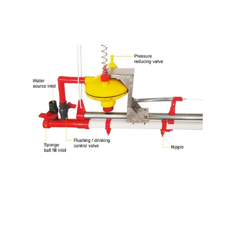 High-Tech Livestock Equipment Good Quality New Design For Poultry Poultry Farming Equipment Vietnamese Manufacturer