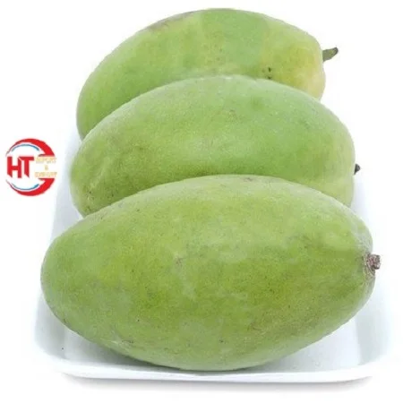 High Quality Vietnam Brand Fresh Fruit Export Organic Cultivation Unripe Maturity Slightly Sweet Taste Keo Mango