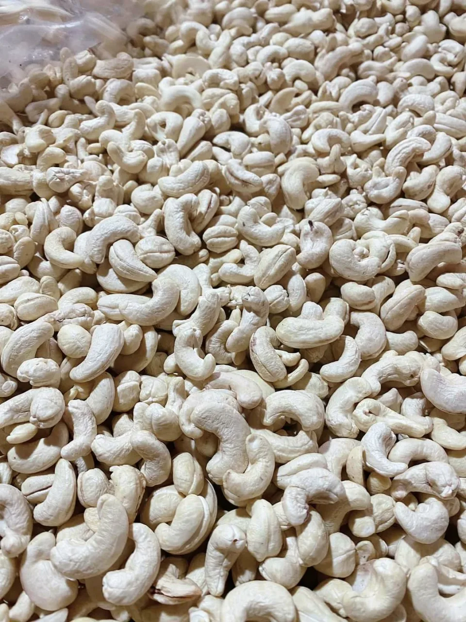 Best Selection High Quality 100% Organic Cashew Kernels ww320  Vietnam is ready to ship