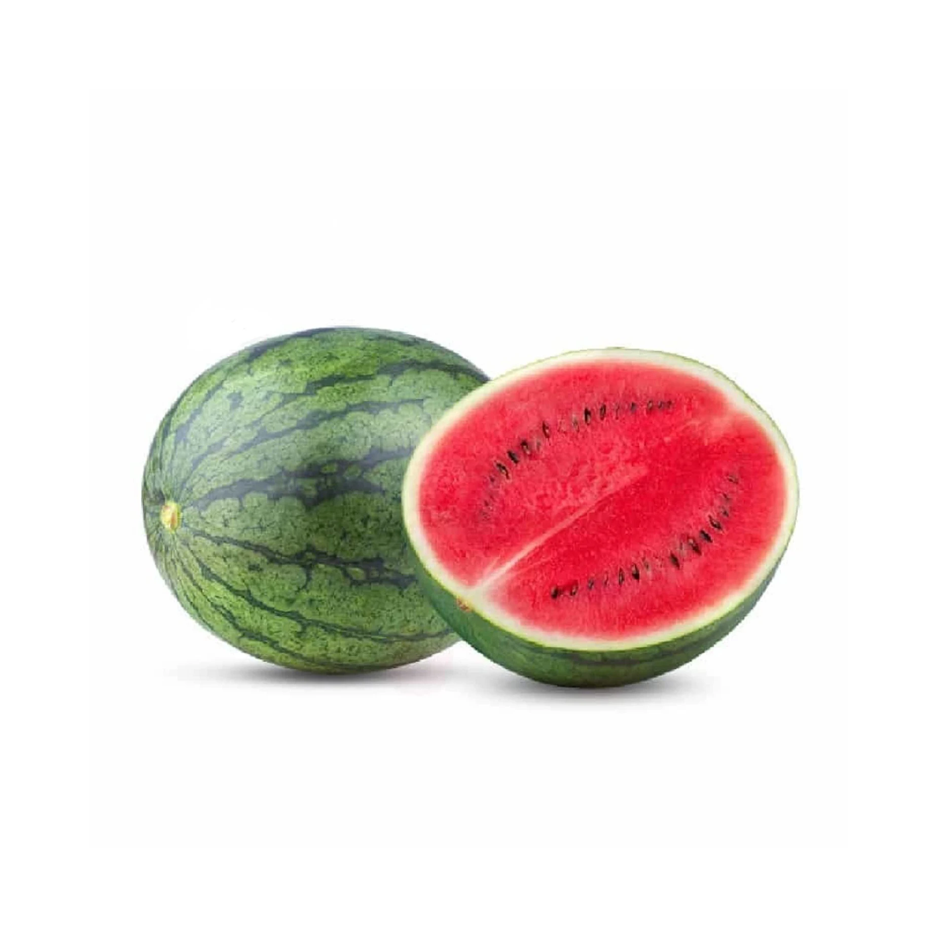 BEST QUALITY FRESH SWEET WATERMELONS FOR SALE AT AFFORDABLE PRICE NATURAL FRESH WATERMELONS FOR SALE IN BULK