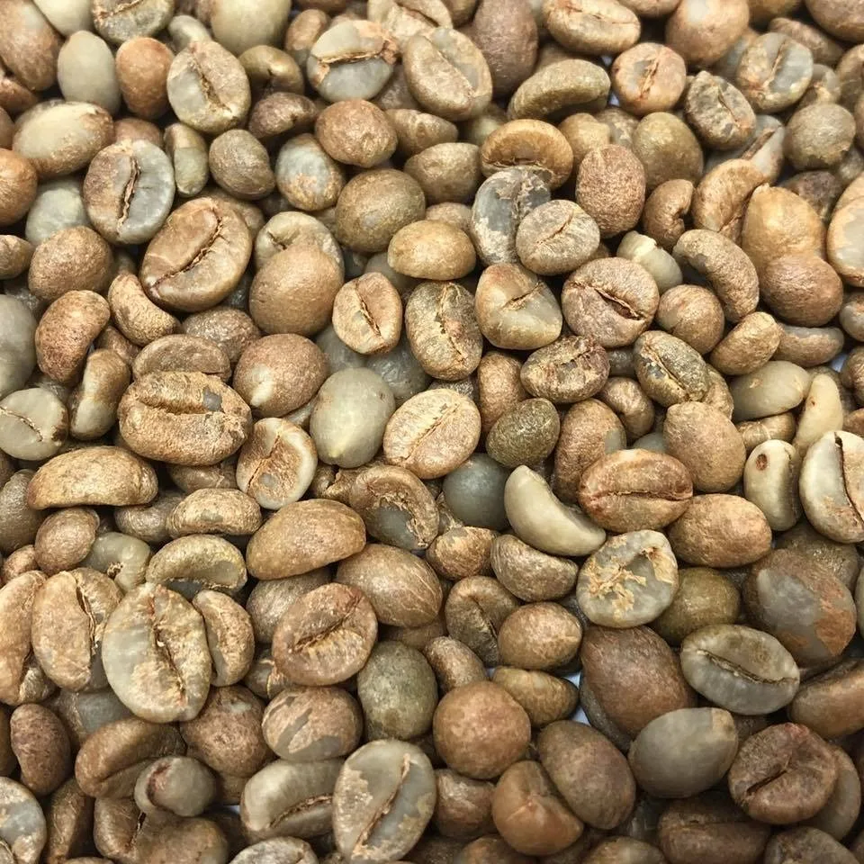 Vietnam Wholesale Coffee Beans Green Beans S16 S18 Wet Polished Clean and Premium Quality