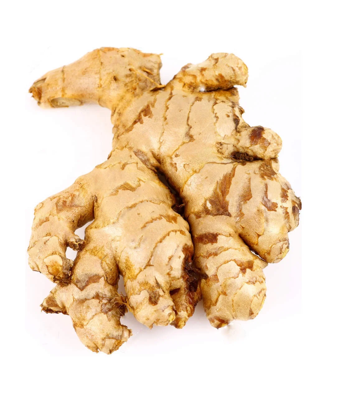 Высококачественный сушеный свежий имбирь готов к продаже рынок Среднего Востока Европы Северной Америки и