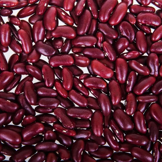 Best suppliers to Order Red Kidney Beans at Wholesale price| Dark Red Kidney Beans With Export Red Kidney Beans High Quality
