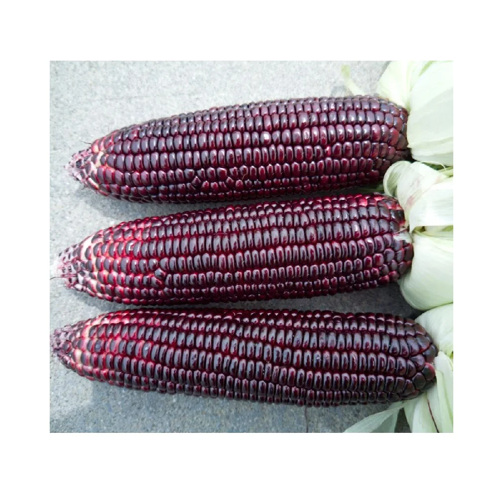 Хорошее качество самая продаваемая натуральная Органическая Кукуруза Красного кукурузы для оптовой покупки
