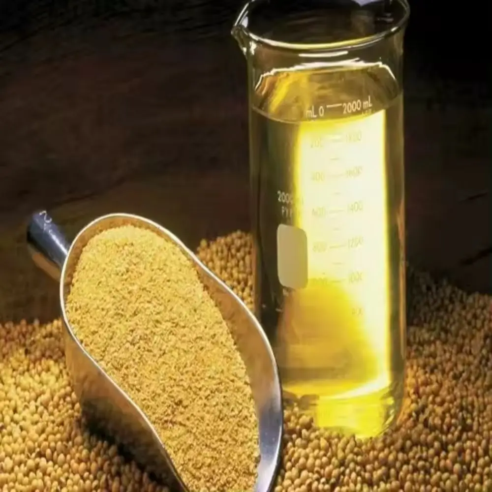 Wholesale Suppliersoybean suppliers refined soy bean oil refined & crude soybean oil  Supply Brazil Soybean Oil Pure Natural