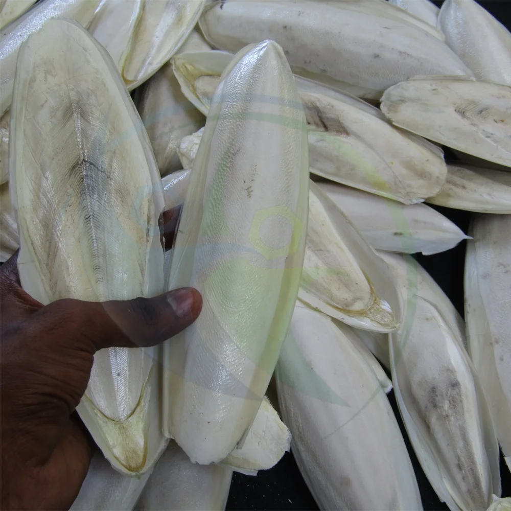 Full Container ( 20 ft and 40 ft )Loading Indian Sea Shell Natural Cuttlefish Sepia Bone Exporter