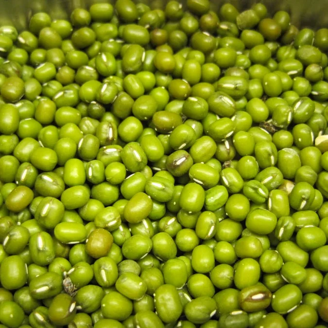 Wholesale High Quality and good price whole Green Vigna Mung Beans from Direct Supplier