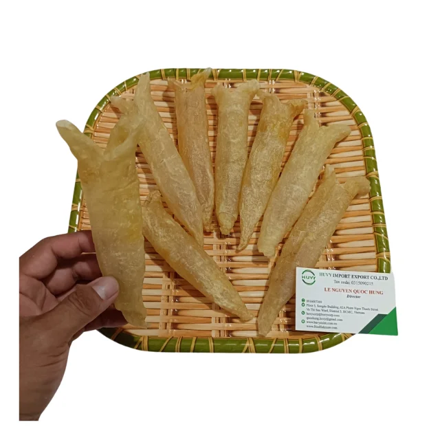 Scrolled Dried Fish Maw Suppliers Factory Price Food Beverage Nutritious 100% Bladder Fish Rich Protein Fast Delivery Vietnam