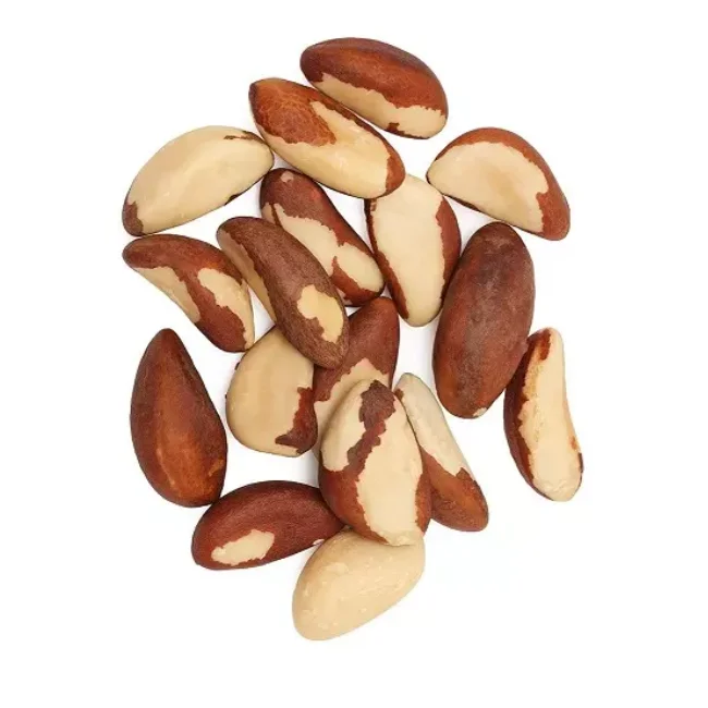 1 Brazil Nuts.png