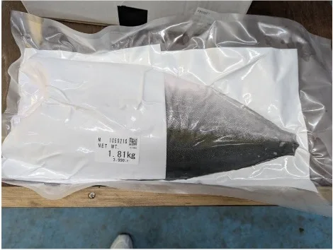 Private Label Dried Fresh Frozen Seafood Yellowtail Fish Fillet