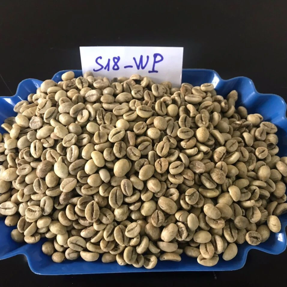 Factory Price Green/Raw Robusta Coffee Beans Screen 16/18 From Vietnam