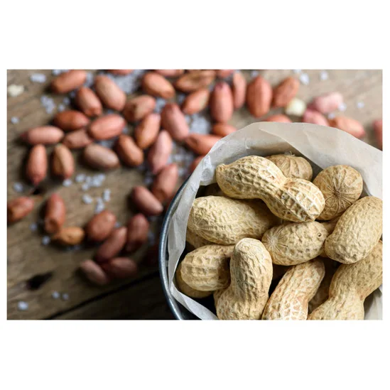 High Quality Raw Peanuts Without Shell Raw Peanuts Peanuts Peanut Harvester Agriculture